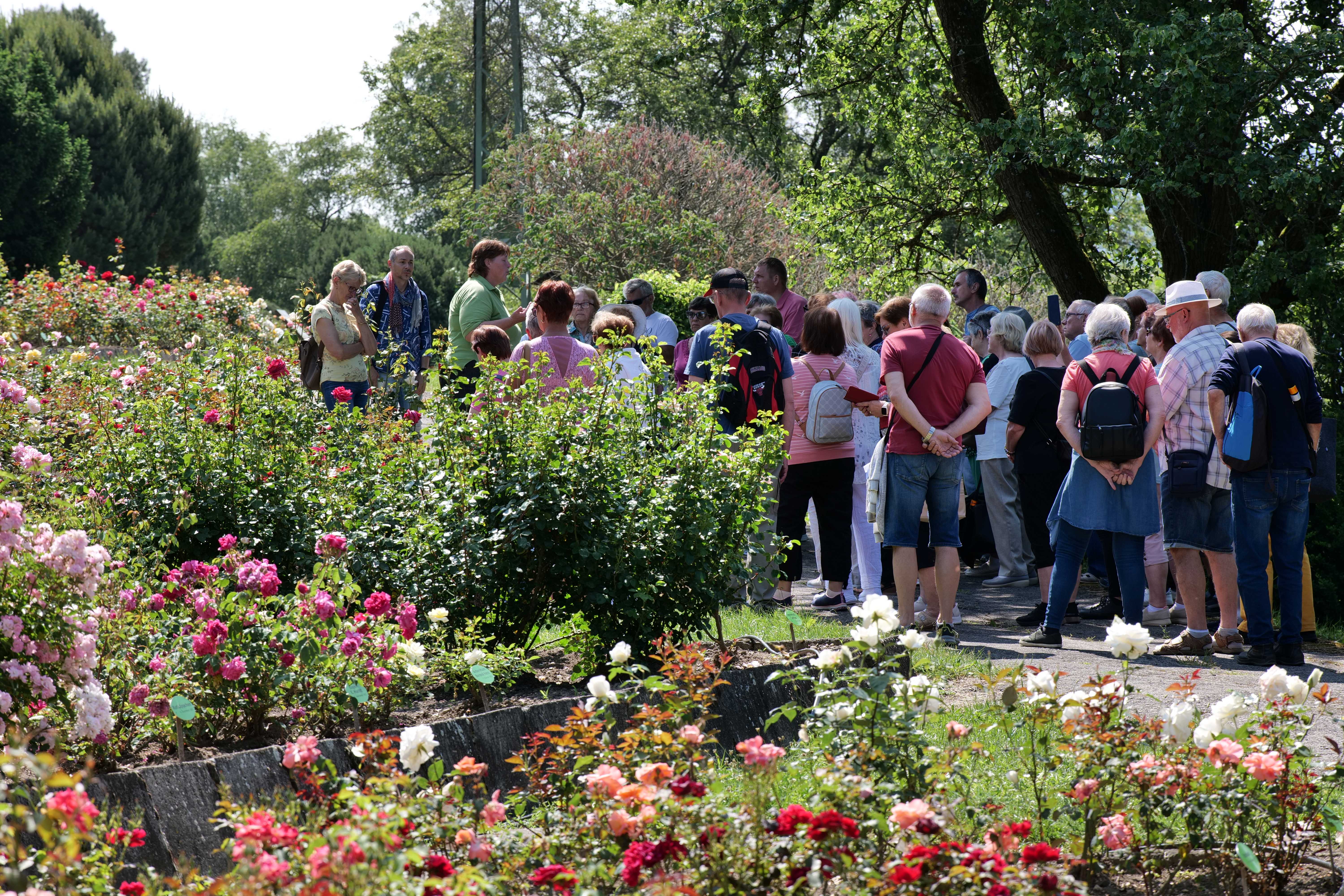 arboretum-borova-hora-3